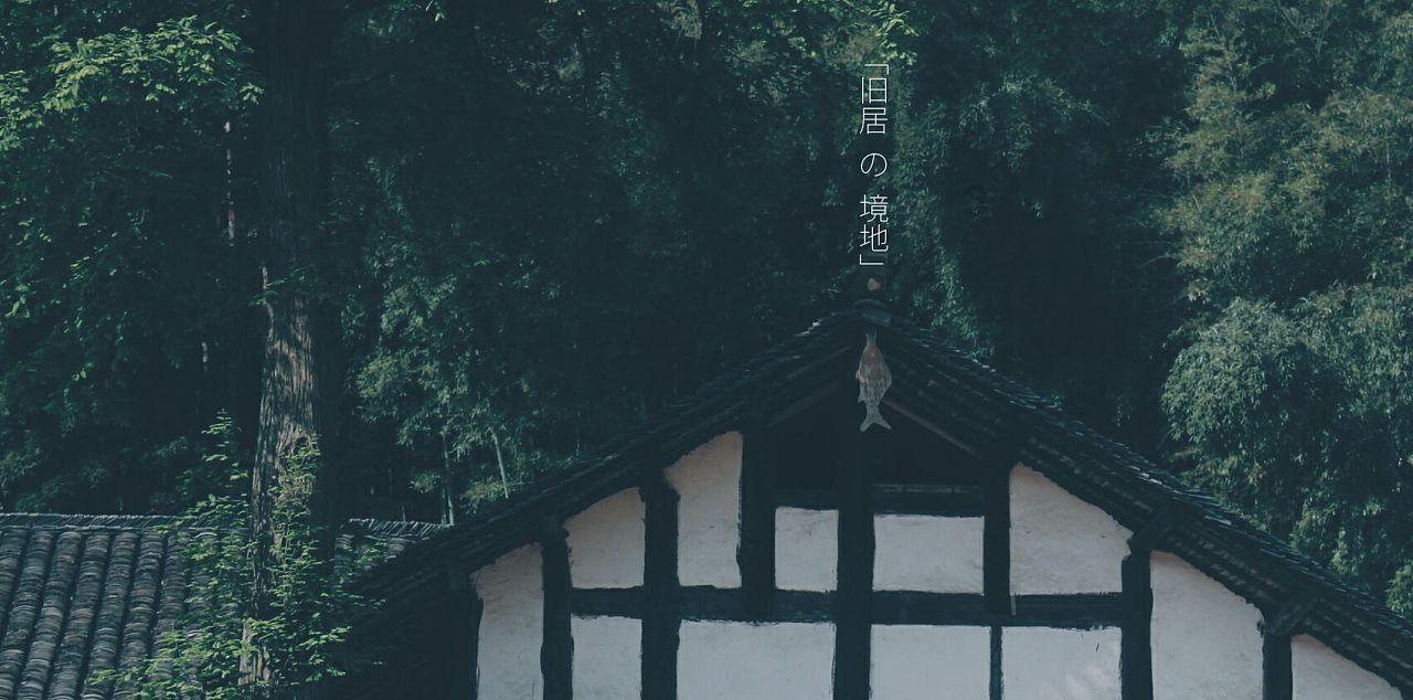 逗小猴开心系列209