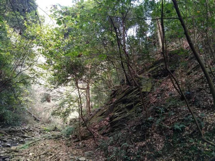 大跳跃的方块