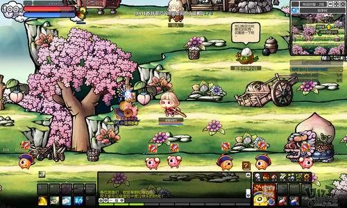 昆明动物园猴群与猫共处，动物保护协会已联系园方，官方回应