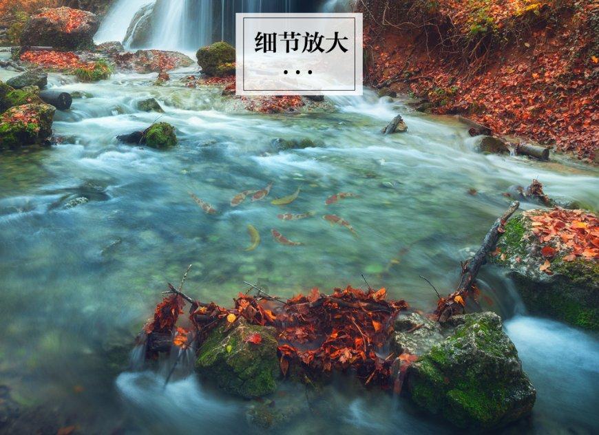 区块链应用操作员怎么考？需要什么条件？
