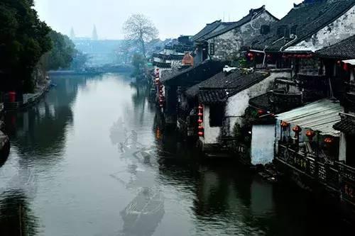 柯基犬为什么不吃狗粮？游戏画面