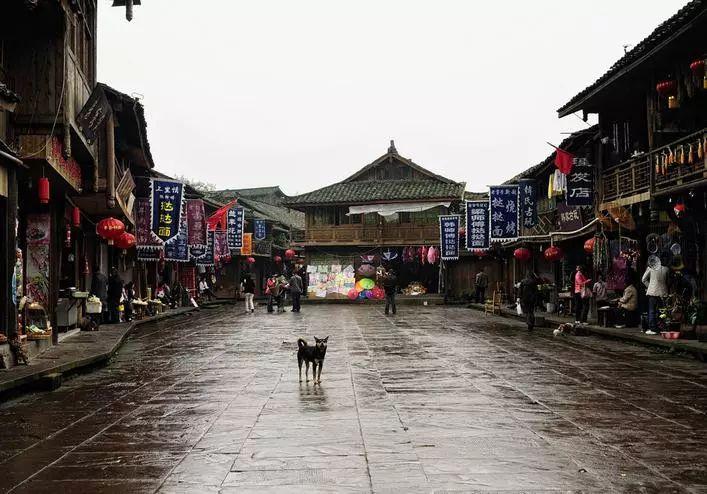 娶个1米5的老婆什么感觉游戏画面