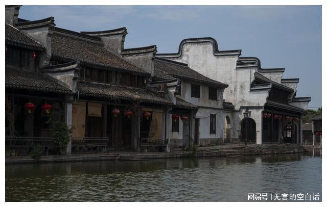 饥饿的松鼠救援