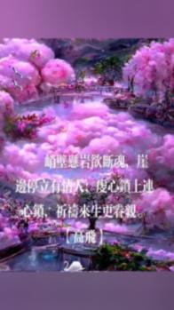 最美的校园女生64